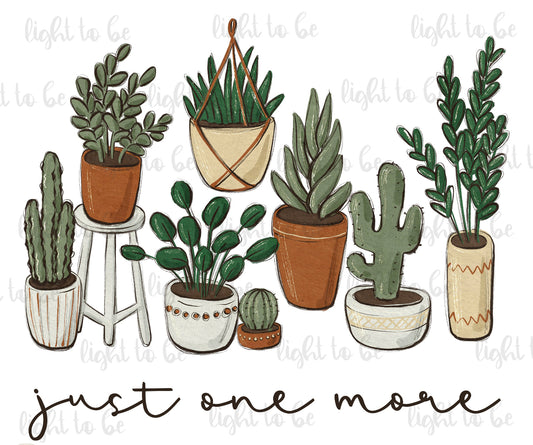 Just one more plants
